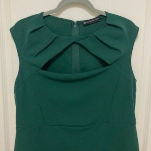 Fashion to Figure Dress